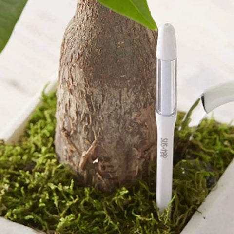 Sustee Aquameter 4 Pack Leave In Plant Soil Moisture Sensor For Pots White Medium Size Lets You Track Water Needs In The Soil For 3.5 To 6 Inch Pots Without Guessing, white sensor in moss