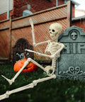 36 Inch Full Body Skeleton Prop With Movable Joints Realistic Plastic Bones for Halloween decor in spooky graveyard setup