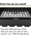 Close-up of Extra Tough No Holes Seed Starting Trays with no-hole design, 5-pack, BPA-free plastic nursery flats for propagation projects.