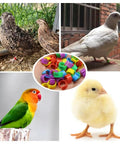 Durable 8mm Pigeon Leg Bands Set of 120, Numbered Clip On Bird Leg Bands on chick, quails, dove, lovebird in collage