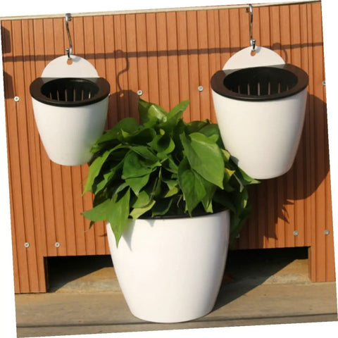 Six Piece Wall Mounted Round Plastic Pothos Planters With Self Watering System For Indoor Balcony Gardens Hydroponic Hanging
