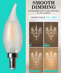 Frosted LED Candelabra Bulb E12 Small Base 60 Watt Equivalent 2700K Soft White CA10 Candle Dimmable Chandelier Light