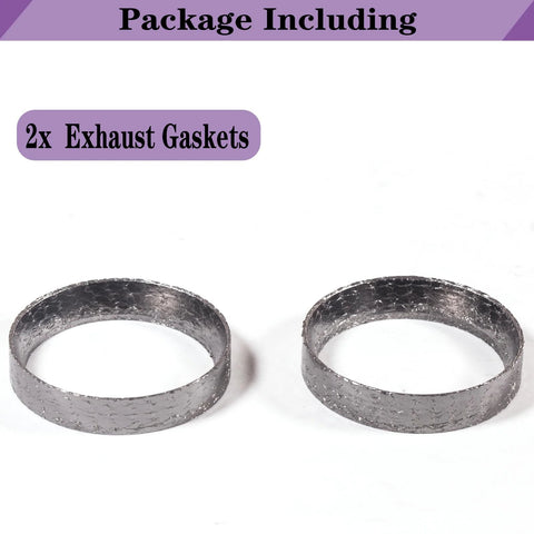 Two graphite-steel mesh Harley exhaust gasket rings, 48mm inner diameter, fits 1984+ bikes.
