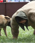 Dog Training Bite Suit For Working Dogs Premium Anti Bite Jumpsuit in use during agility training, shows durability and safety.