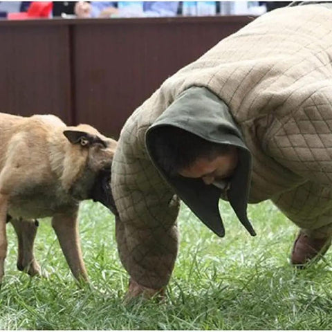 Dog Training Bite Suit For Working Dogs Premium Anti Bite Jumpsuit in use during agility training, shows durability and safety.