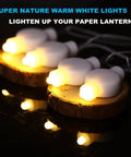 24 Pack Battery Powered LED Lights For Paper Lanterns Balloons Floral Weddings And Festival Decorations Warm White on display