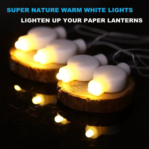 24 Pack Battery Powered LED Lights For Paper Lanterns Balloons Floral Weddings And Festival Decorations Warm White on display