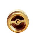 Brass 3/4in NPT female check valve end view with hex nut