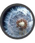 Close-up of Dark Dandelion Crystal Glass Cabinet Knob Set 4 Pack Round Drawer Pulls showcasing intricate dandelion design