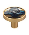 4 Pack Gorilla Fence Butterfly Cabinet Knobs Dope Cool Design Pull Handles For Drawers Dressers Cupboards And Walls Acrylic And Zinc Alloy