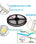 Flexible 600 LED 12V Daylight White LED Strip Light 16.4ft 5m IP65 Waterproof reel with cuttable and adhesive features shown