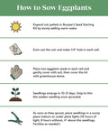 Instructions on how to sow eggplants including expanding coir pellets, planting seeds, and caring for seedlings.