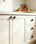 Top Tier Heavy Duty Black Cabinet Knobs Slick Round Handles For Kitchen Cupboards And Drawers Solid Zinc Alloy Hardware Built Tough Quick Install Hassle Free Setup Dependable Twenty Pack Bundle on cabinet doors.