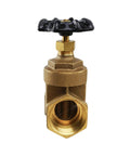 Gate valve front view: brass lead-free body with wheel handle and 2 in FIP connections