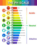 Colorful pH scale chart showing acidic to alkaline levels with common items, ranging from battery acid to drain cleaner.