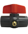 Jones Valve Condensate Drain Blowout Valve JV1B front view with red handle and gray body.