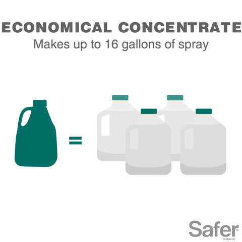 Illustration showing 16 oz All In One Neem Oil Concentrate Garden Spray makes 16 gallons of solution for organic use.