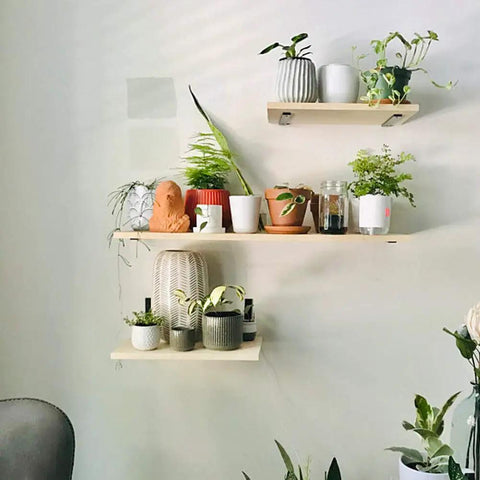 Wall-mounted shelves with potted plants and 12 Inch L Shelf Brackets Set of 4 Heavy Duty Metal Black Rustic Industrial Shelving Brackets With Hardware Included for DIY Projects and Open Shelving.