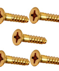 Flat Head Wood Screw Kit In Solid Brass Number Ten By Three Quarter Inch Pack Of 2500 Fasteners Set LS24844F shown in detail