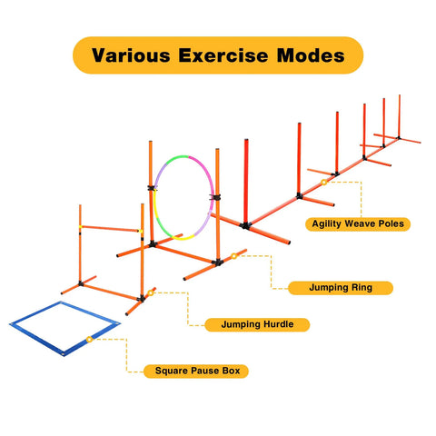 Dog Agility Training Set For Backyard And Indoor Use 4 Piece Obstacle Course with jump ring, weave poles, hurdle, pause box
