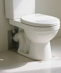 Dang Cute Frog Themed Ceramic Toilet Bowl Bolt Covers Two Piece Kit Rust Resistant Plumbing Hardware For Bathroom Decor on a toilet