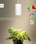Solid Aluminum Hanging Grow Light For Houseplants 40W Full Spectrum Warm White With Built In Timer 15Ft Fabric Cord Decorative Pendant Lamp illuminating lush ferns.