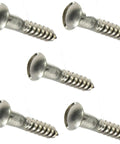5 stainless screws from 6 x 1-1/4 Round Head Wood Screws Kit Slotted Drive Stainless Steel 2500-Piece Fastener Set