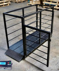 Ready To Roll Portable Livestock Scale With 2000 Lb Rock Solid Capacity Built Tough Cattle Horse Cow Weighing Platform with digital screen.