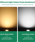 Comparison of warm white 3000K and cool white 5000K beam from Outdoor Recessed LED Landscape Lights 12-24V Low Voltage Dimmable.