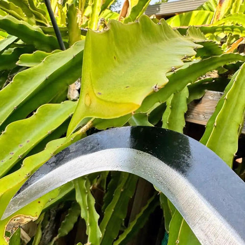 Close-up of Tough As Nails Sickle Machete For Yard Work With Carbon Steel Blade, 14 Inch Short Machete, blade near green foliage