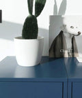 Pop Out 20 Amp 1 Gang Outlet In Graphite With Matching Wall Plate Tamper Resistant Receptacle Hidden When Not In Use Three Outlet Capacity Easy Access Power For Home Office And Modern Walls next to a cactus in a white pot on a blue cabinet
