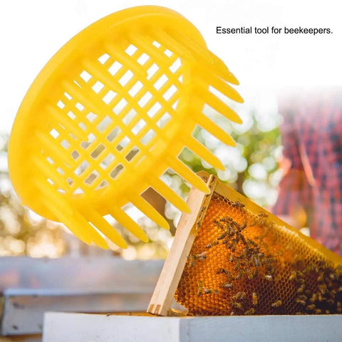 Six Piece Beekeeping Queen Rearing Box Kit with Plastic Queen Cages for Isolation and hive maintenance