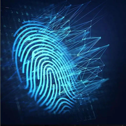 Digital fingerprint representation with blue lines and abstract patterns relating to smart video door lock security.
