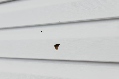 Vinyl And Stucco Siding Repair Kit With White Self Adhesive Patches That Cut To Fit Paintable To Match Cover Cracks Holes And Blemishes