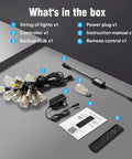 Components of 50 Foot Outdoor Waterproof String Lights With Bluetooth App And Remote Control shown in box layout