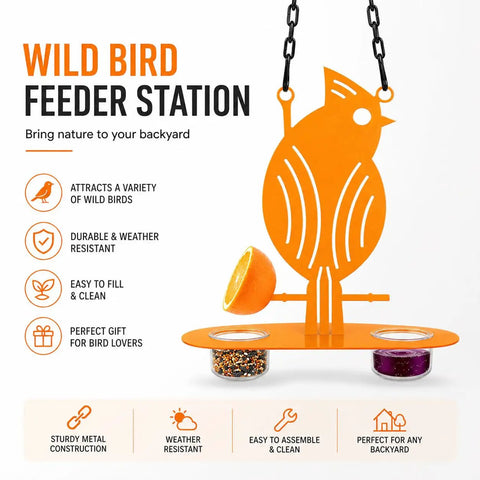 Oriole Bird Feeder Hanging Outdoor Decor With Clear PP Bowl Perch And Attachment Prongs For Clementines Mandarins And Oranges
