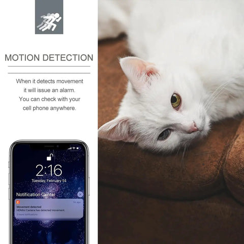 A phone showing motion alert next to a cat, displaying feature of WiFi Wall Clock Camera Nanny Cam 1080P Hidden Clock With Motion Detection