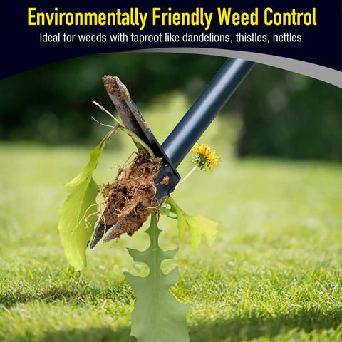 Stand Up Weeder And Weed Puller Set 40 Inch With Foot Pedal Hand Weeder extracting dandelion root from grass