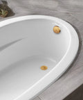 Push And Lock Bathtub Drain Stopper Kit With Trim Set And Single Hole Overflow Faceplate, Conversion Bar, Brushed Gold Finish