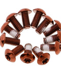 Anti Slip Gel Disc Brake Screws M5 X 10Mm Steel Bolts Nuts For Mountain MTB Rotors 12 Pack T25 Drive Durable Orange Finish Keeps Screws From Loosening