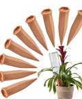 10 Pack Clay Self Watering Nails For Indoor And Outdoor Plants, terracotta nails displayed with live plant in pot for hydration