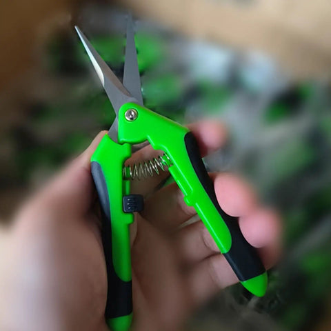 Close-up of 1 Pack Garden Scissors And Shears 6.4 Inch Steel Pruners For Plants Flowers Weeds Fruit Trees And Vegetables With Green Handle