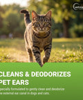 Tabby cat walking outdoors promoting Gentle Ear Cleaning Solution For Cats And Dogs, Easy To Use Drops That Remove Dirt And Debris.