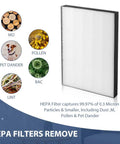 Air 220 Filter Replacement Kit For Bissell Air320 Air Purifier Includes 2678 True HEPA Filter with allergen visuals