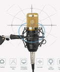 Pro Podcast Gear Bundle With BM800 Microphone Kit showing condenser mic with gold mesh head and adjustable arm stand