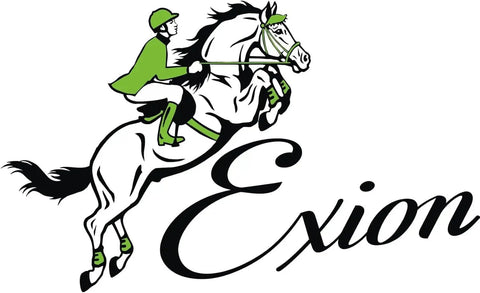 Stylized illustration of a horse and rider with the word 'Exion' below.