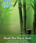 Image of bamboo and stones on a green background, representing breathwork, stress relief, and wellness in the Game Changer Breathwork Guide Boost Natural Energy And Lock Down Heavy Stress With Straightforward Daily Drills For A Fresh Mindset And Quicker Recovery.