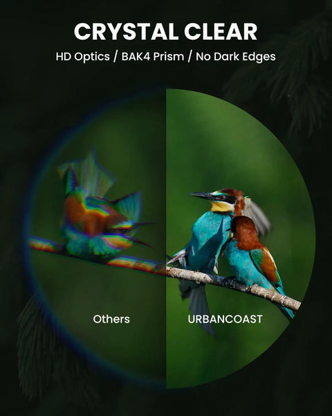 Comparison of bird images using 15x54 Monocular Telescope For Adults High Powered Waterproof With BAK4 Prism FMC Lens Compact Spotting Scope.