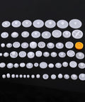 Totally Awesome 64 Kinds Plastic Gears Pulley Belt Kits For Robot Motor Toys Perfect For Engineering And Model Making Projects Great Stuff For DIY Builds, white plastic gears