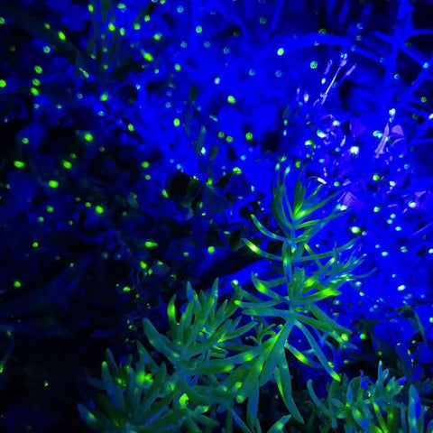 Firefly Garden Lights Star Projector With Yellow Green Laser Fireflies And Blue Nebula Cloud Outdoor Yard Decor